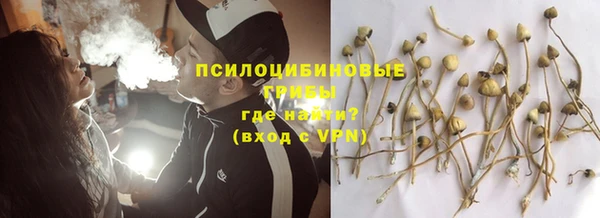 тгк Осташков