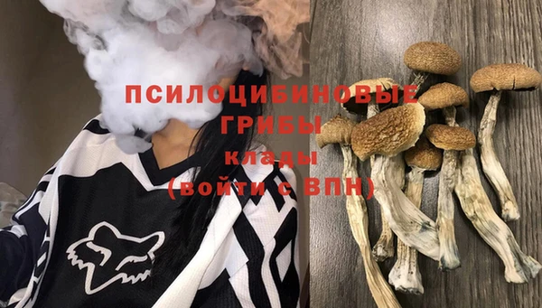 ECSTASY Остров