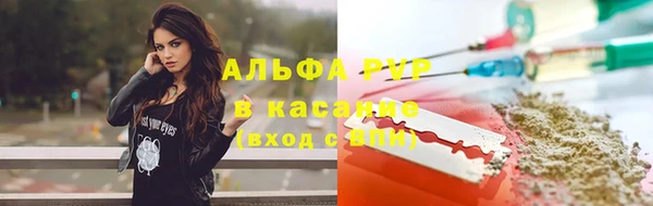 тгк Осташков