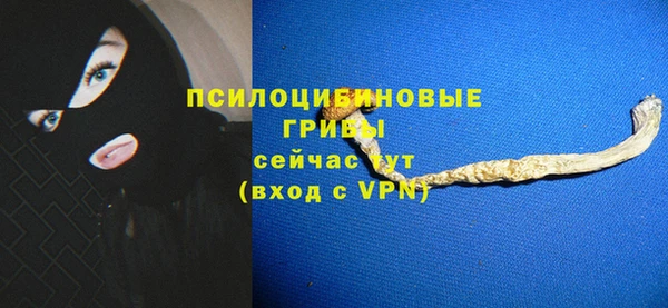 тгк Осташков