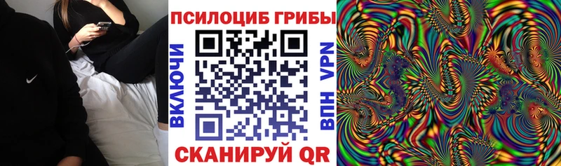 Псилоцибиновые грибы ЛСД  Камбарка 